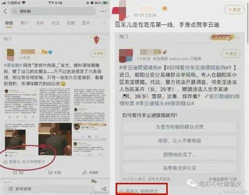 娱乐圈的吃瓜文件