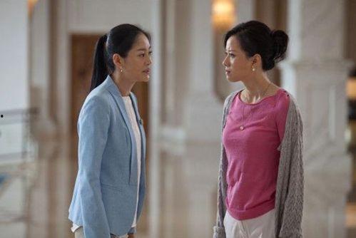 娱乐吃瓜酱婆婆在线观看,揭秘热门剧集幕后故事