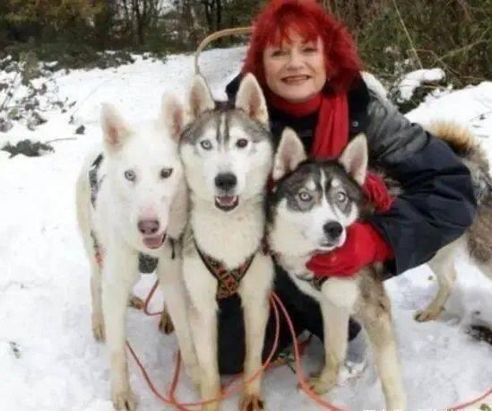 要哈士奇大腚娱乐吃瓜酱