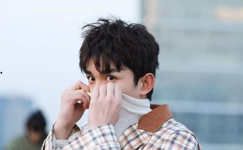 娱乐圈吃瓜吴磊是谁,揭秘他的星途与人气背后的故事