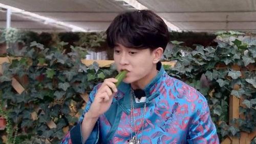 娱乐吃瓜刘宇宁视频大全,笑料百出，精彩纷呈