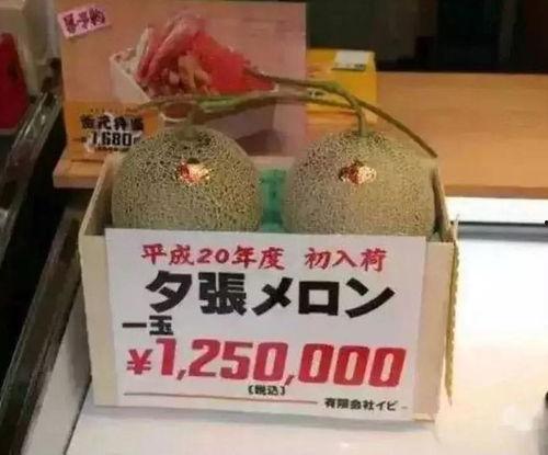 娱乐吃瓜钱,吃瓜群众如何用“钱”解锁明星幕后故事