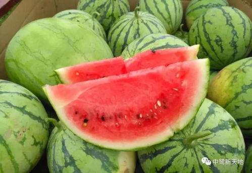 娱乐家吃瓜,揭秘明星们的“吃瓜”生活