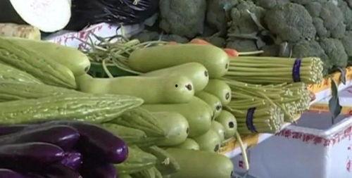 娱乐家吃瓜,揭秘明星们的“吃瓜”生活